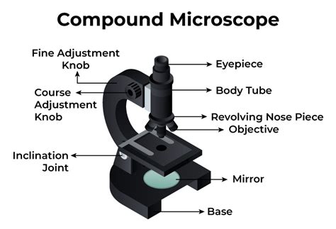 Toradh íomhá ar How a Microscope Works