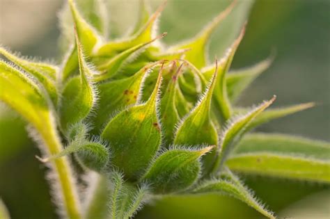 Color Calibration に対する画像結果