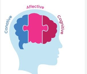 Define Learning Domains に対する画像結果