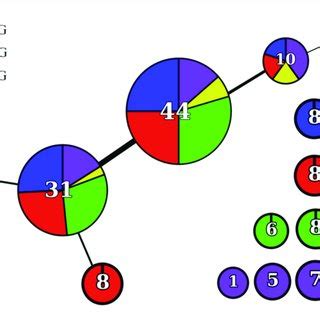 Image result for Mapper Algorithm