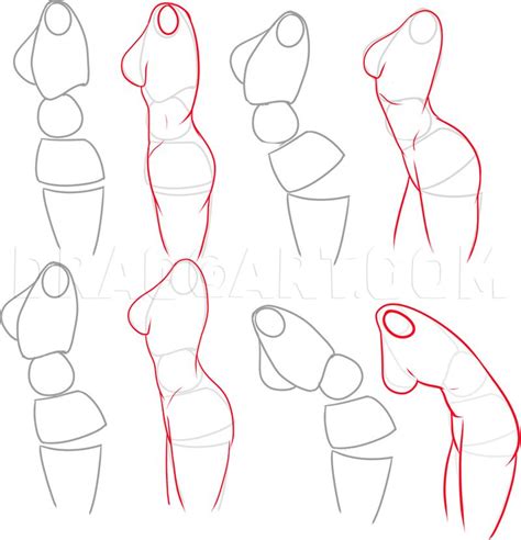 Image result for How to Draw Female
