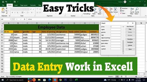 Image result for Excel Data Entry Format