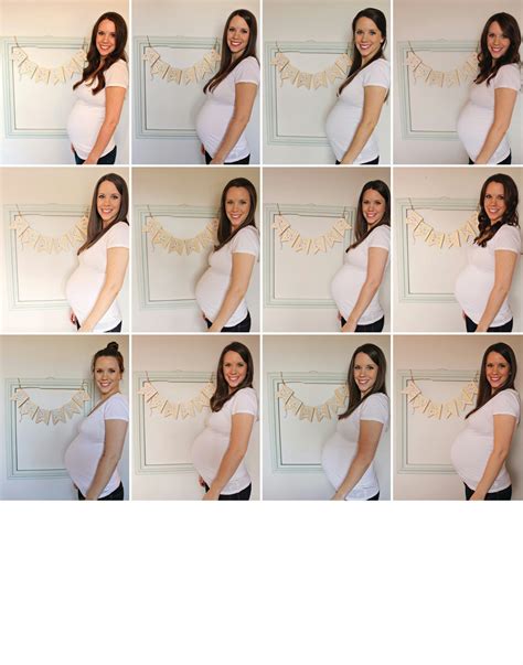 Image result for Pregnancy Growing Update