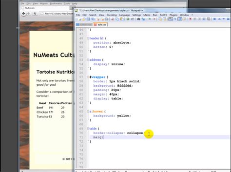 Image result for Table CSS Styling