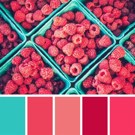 Image result for Raspberry Color Palette