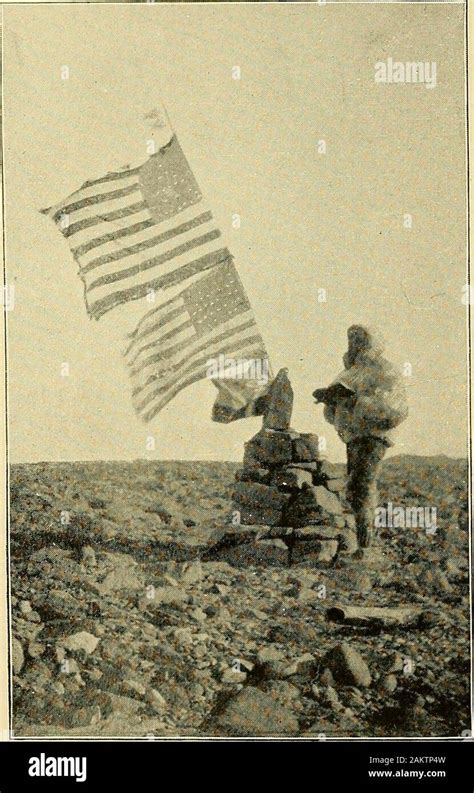 Afbeeldingsresultaten voor Surprised Bumble Bee