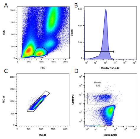 Toradh íomhá ar B-cell Subset Flow Cytometry Panel