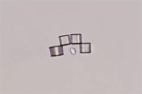 Image result for Magnetic Microbots