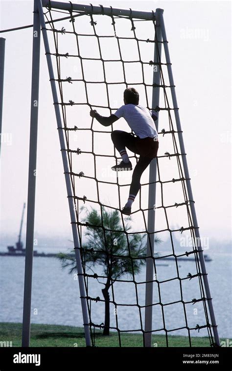 Image result for Cargo Net Army Course