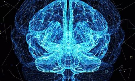 The Process of Memory Formation に対する画像結果