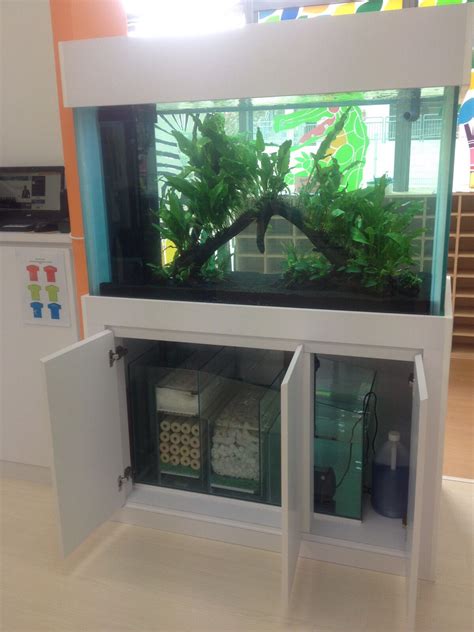 Image result for How to Build a Custom Fish Tank