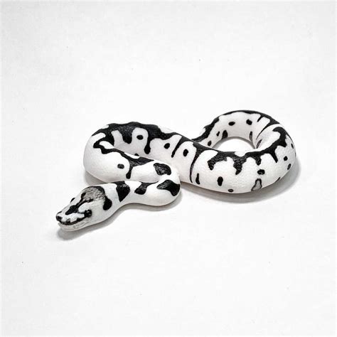 Afbeeldingsresultaten voor Axanthic Monarch Ball Python