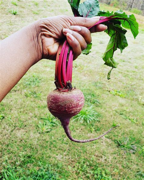 Afbeeldingsresultaten voor Sober Bar