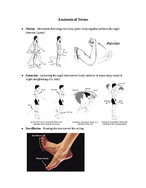 Image result for Flexion Example