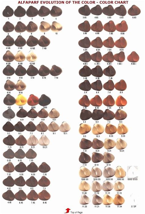 Image result for Matrix Hair Color Conversion Chart Ash