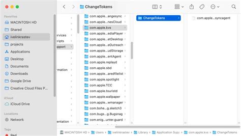 Mac File Copy-এর ছবি ফলাফল