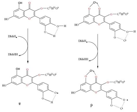 Image result for Rutin Reference Database