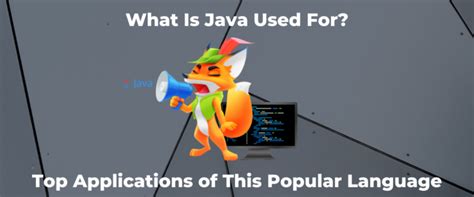 Image result for For What Purpose Java Is Used