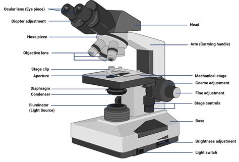 Image result for Field Microscope
