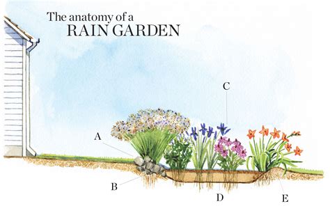 Toradh íomhá ar Rain Garden Guide