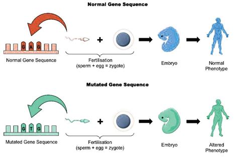 Toradh íomhá ar Mutationism