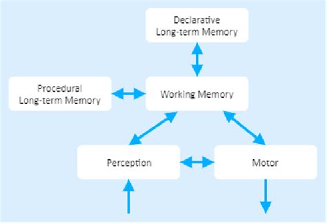 Image result for Model of Long-Term Memory