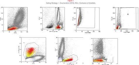 Afbeeldingsresultaten voor Multiparameter Flow Cytometry