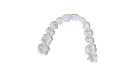 Image result for Python Based Image Labeling for Teeth Tooth Holder Children