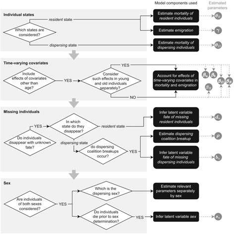 Image result for R Code Execution Diagram