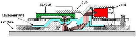 Image result for Lab Mouse Schematic