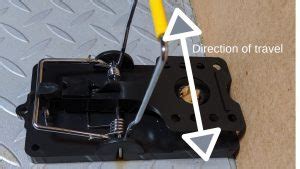 Image result for Pic Mouse Trap Set Up