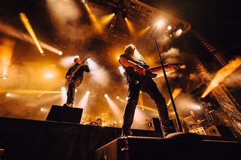 Image result for Shihad VIP