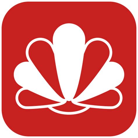 Image result for Shell Org Icon Background