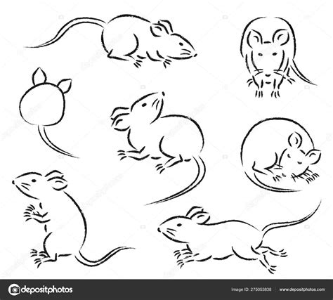 Image result for Mouse Running Side View