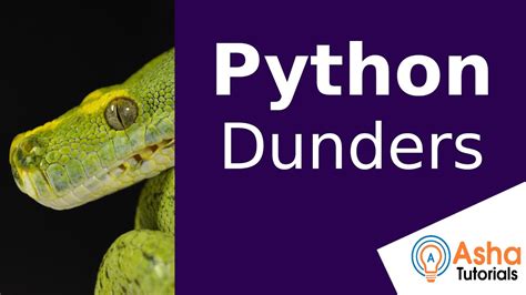 Image result for Dunder Methods Python