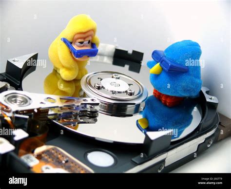 Check Data in Computer に対する画像結果