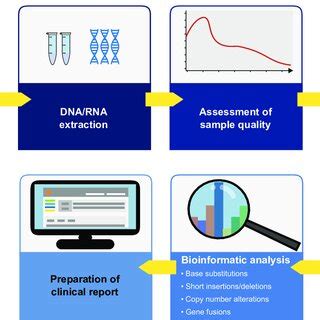 Image result for Capture Sequencing Workflow