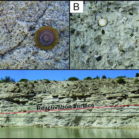 Toradh íomhá ar Bioclastic