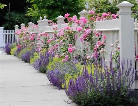 Toradh íomhá ar Frame Partitions Structural