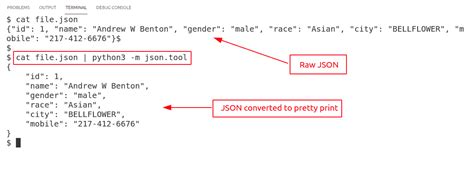 Toradh íomhá ar Python Pretty Print JSON