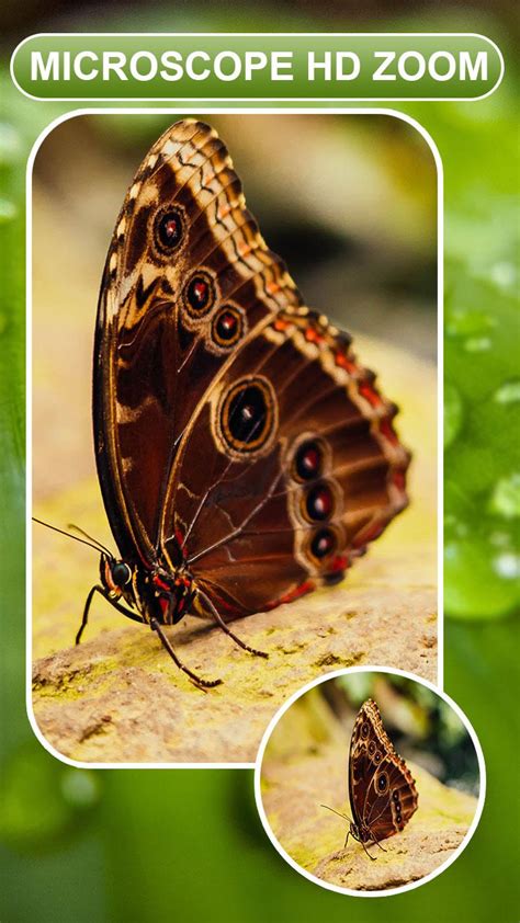 Image result for Microscope Apk