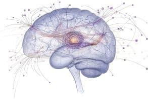 Image result for Visual Processing