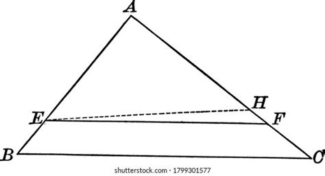 Image result for Parallel Line with Triangle Vector