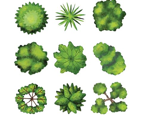 Image result for TreePlan Simple