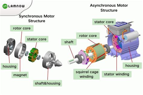 Image result for Synchronous and Induction Motor