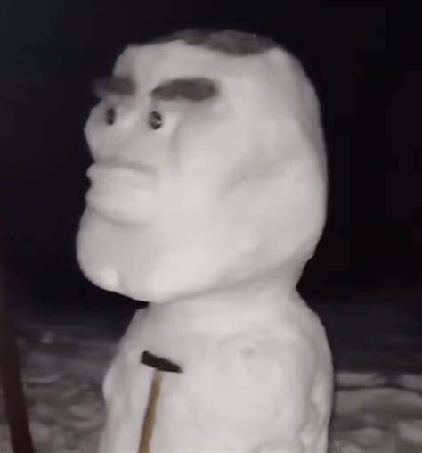 Image result for Mewing Face Meme