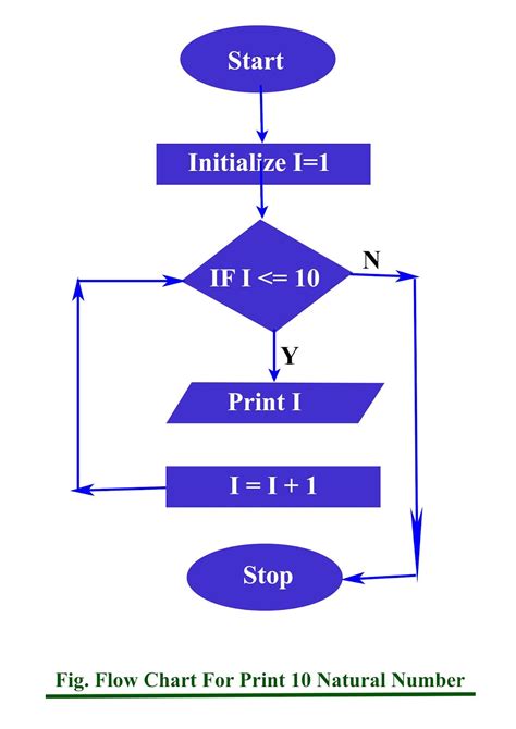 Image result for Flowchart Of C Program