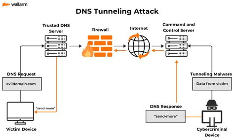 Afbeeldingsresultaten voor Local DNS Attack Lab