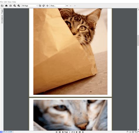 Image result for Java PDF Viewer