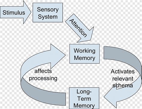 Toradh íomhá ar Short-Term Memory Working Memory Long-Term Memory